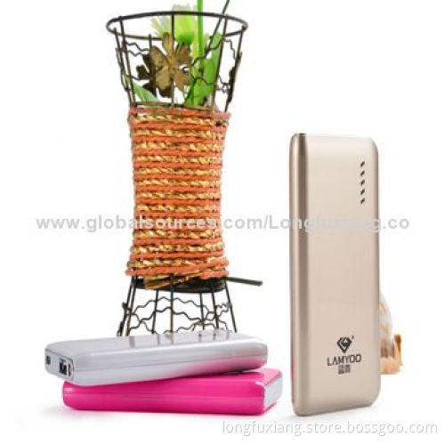 Newly Designed Dual-USB Mobile Phone Power Charger with 6,800mAh Capacity